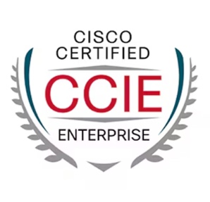 CCIE EI Lab