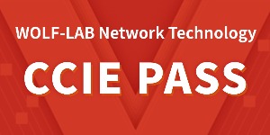 Cisco CCIE EI LAB (Enterprise Infrastructure) stable PASS! Congratulations to three candidates who passed on the same day!