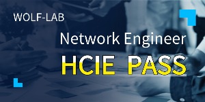 Congratulations to the 2 students in WOLF-LAB PASS HCIE Datacom!