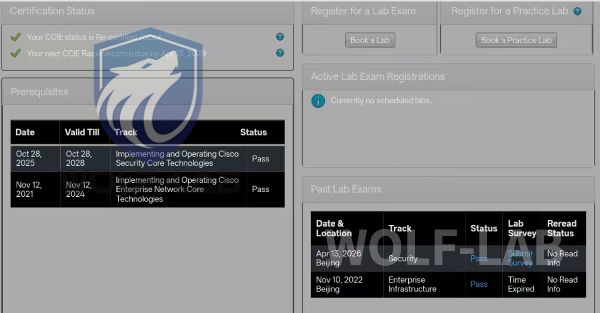 4月13日CCIE SEC (1)
